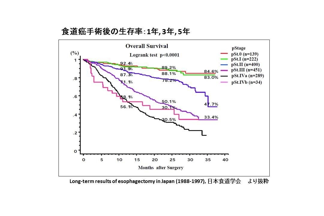 食道5生率図11.jpg