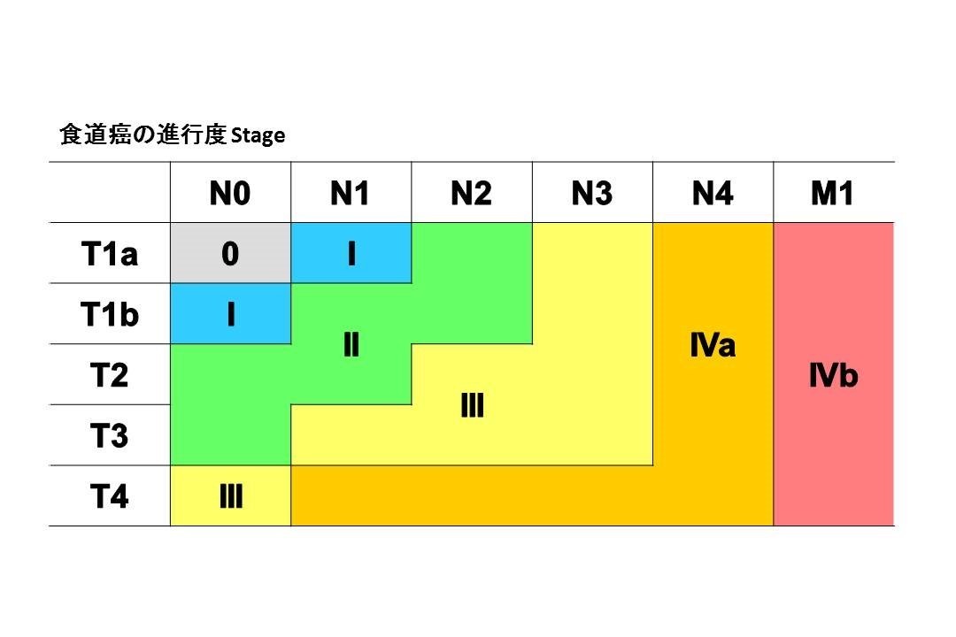食道stage図６.jpg